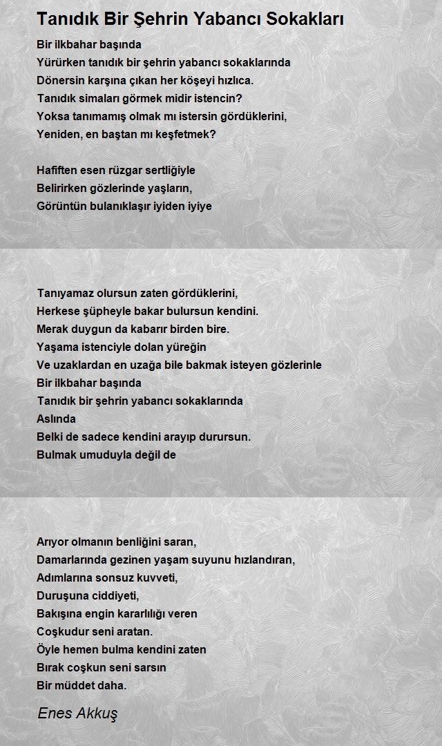 Enes Akkuş