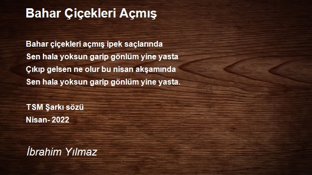 İbrahim Yılmaz