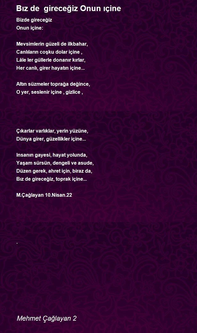 Mehmet Çağlayan 2