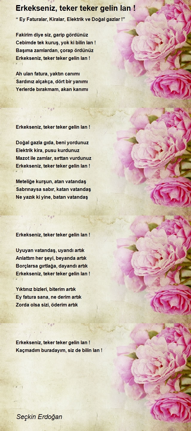 Seçkin Erdoğan
