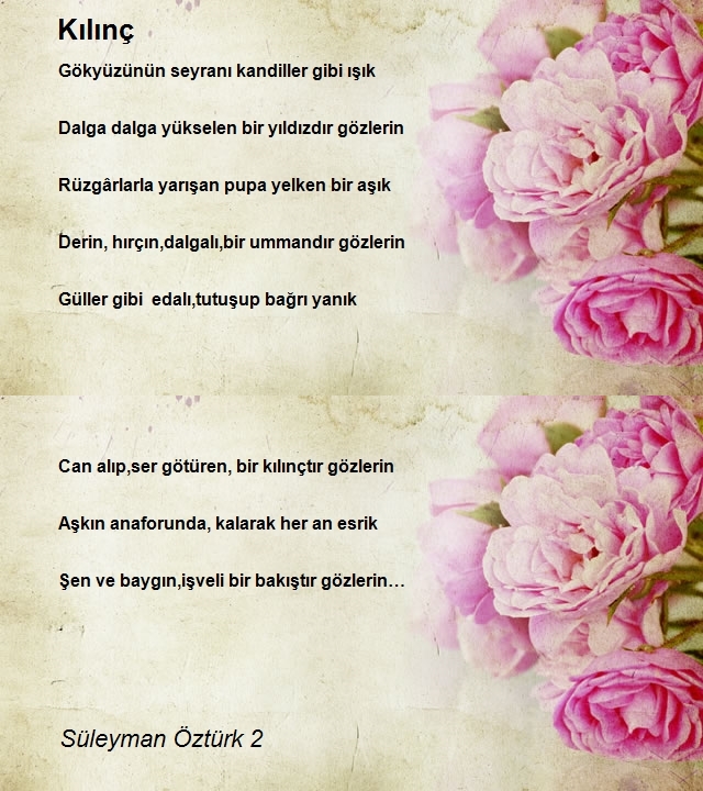 Süleyman Öztürk 2
