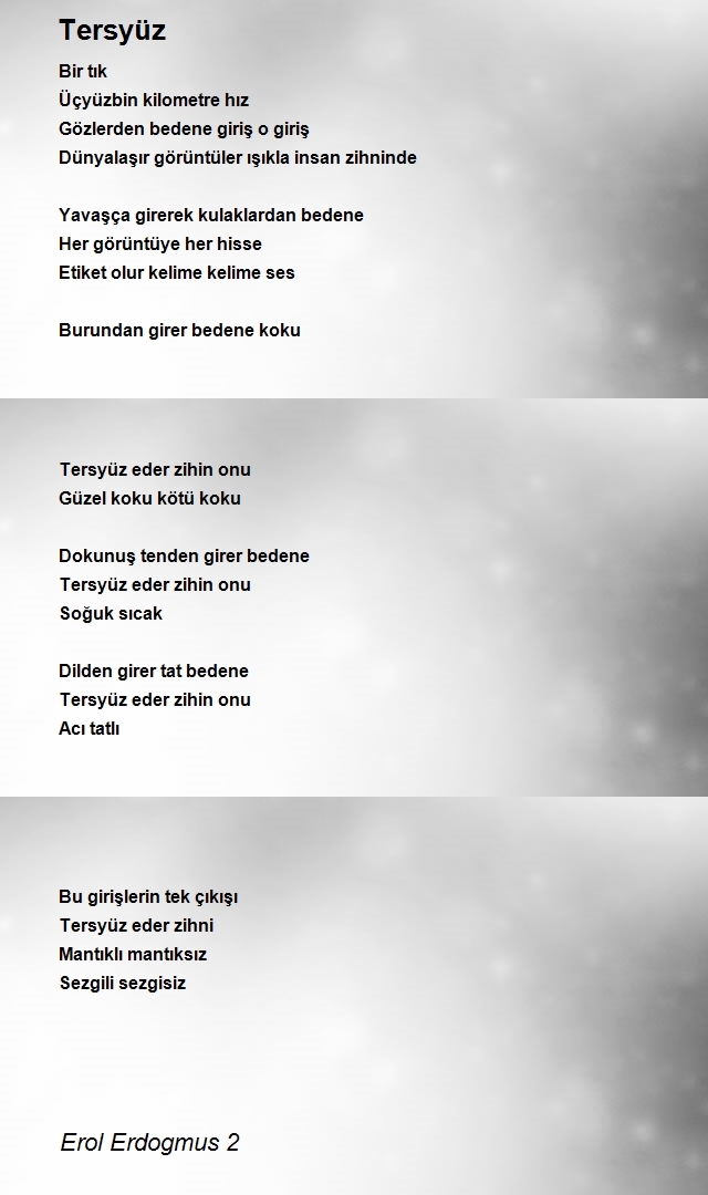 Erol Erdogmus 2
