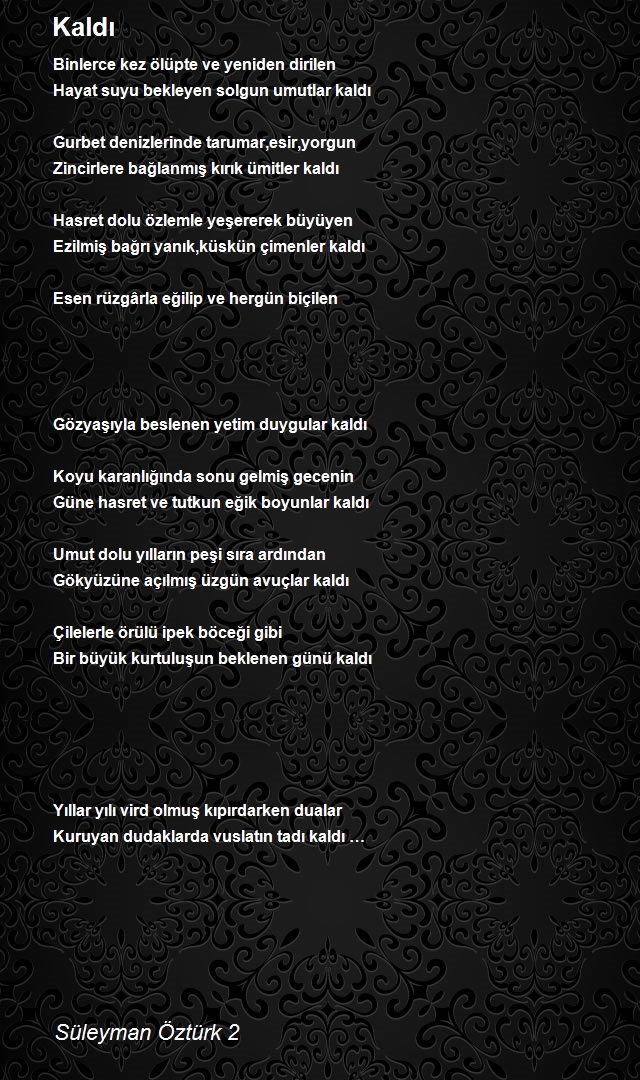 Süleyman Öztürk 2