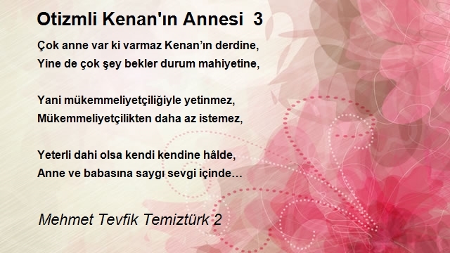 Mehmet Tevfik Temiztürk 2