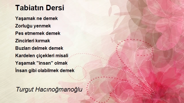Turgut Hacınoğmanoğlu
