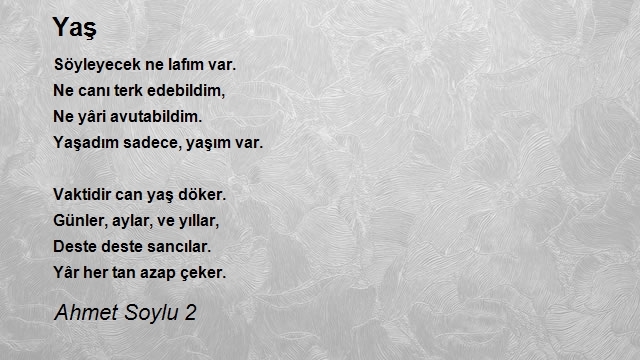 Ahmet Soylu 2