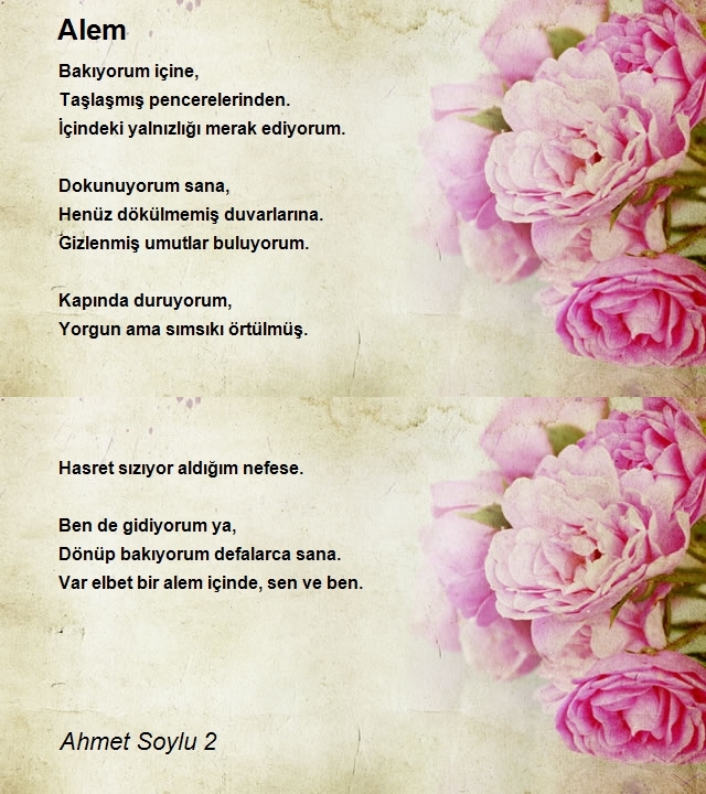 Ahmet Soylu 2