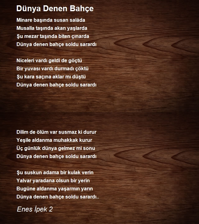 Enes İpek 3