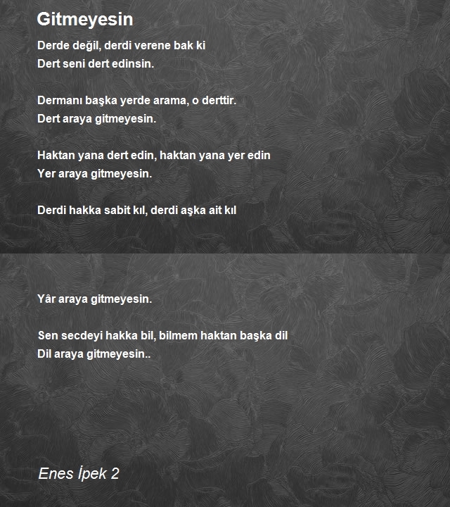 Enes İpek 3