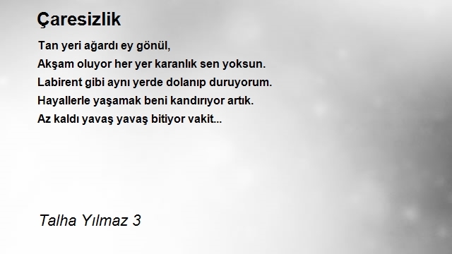 Talha Yılmaz 3