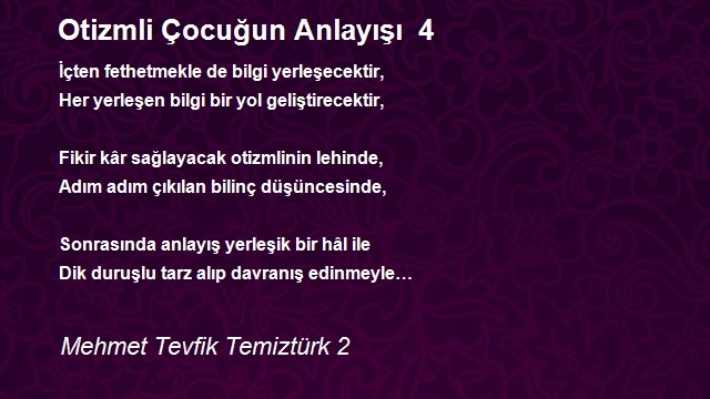 Mehmet Tevfik Temiztürk 2