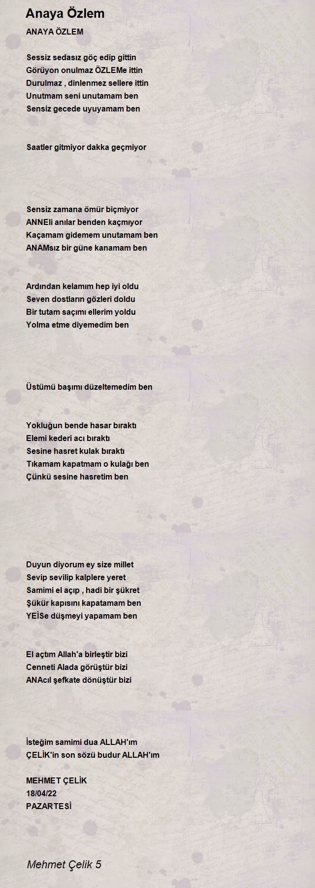 Mehmet Çelik 5
