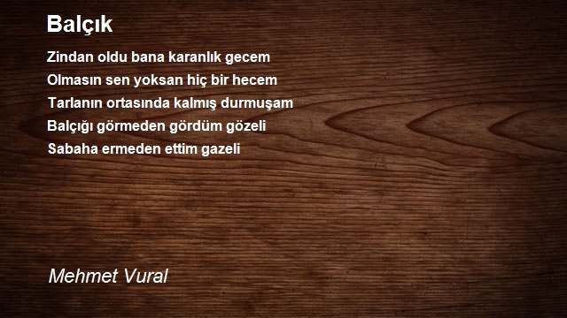 Mehmet Vural