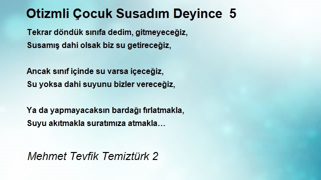 Mehmet Tevfik Temiztürk 2