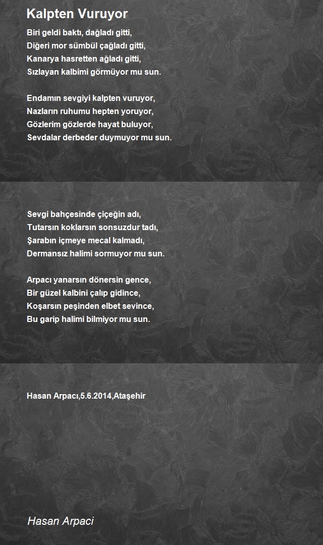 Hasan Arpaci