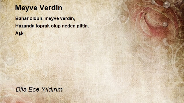 Aşk Aşkın Şehri Ordu