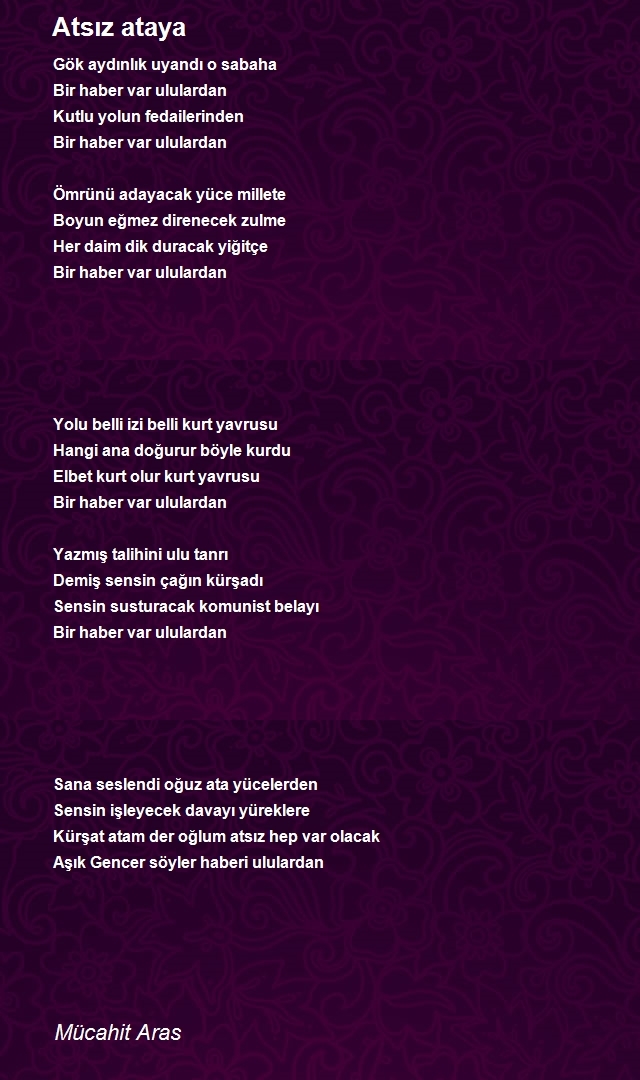 Mücahit Aras