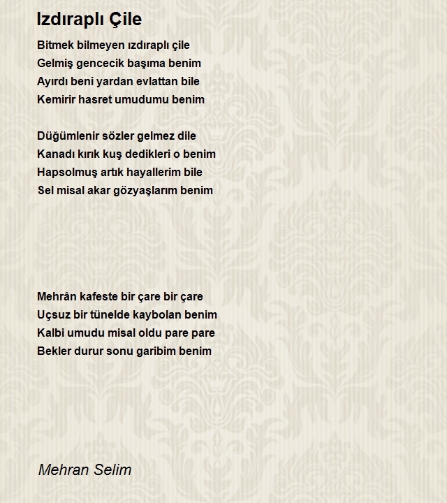 Mehran Selim