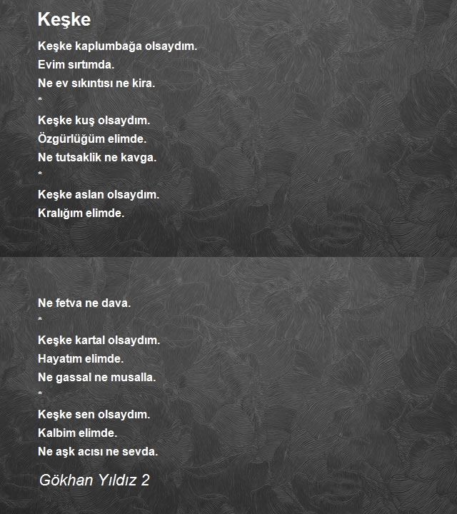Gökhan Yıldız 2