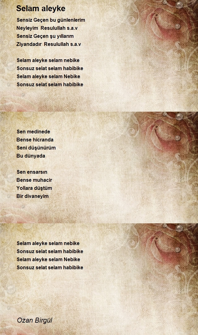 Ozan Birgül