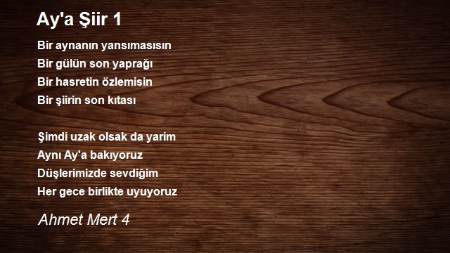 Ahmet Mert 4