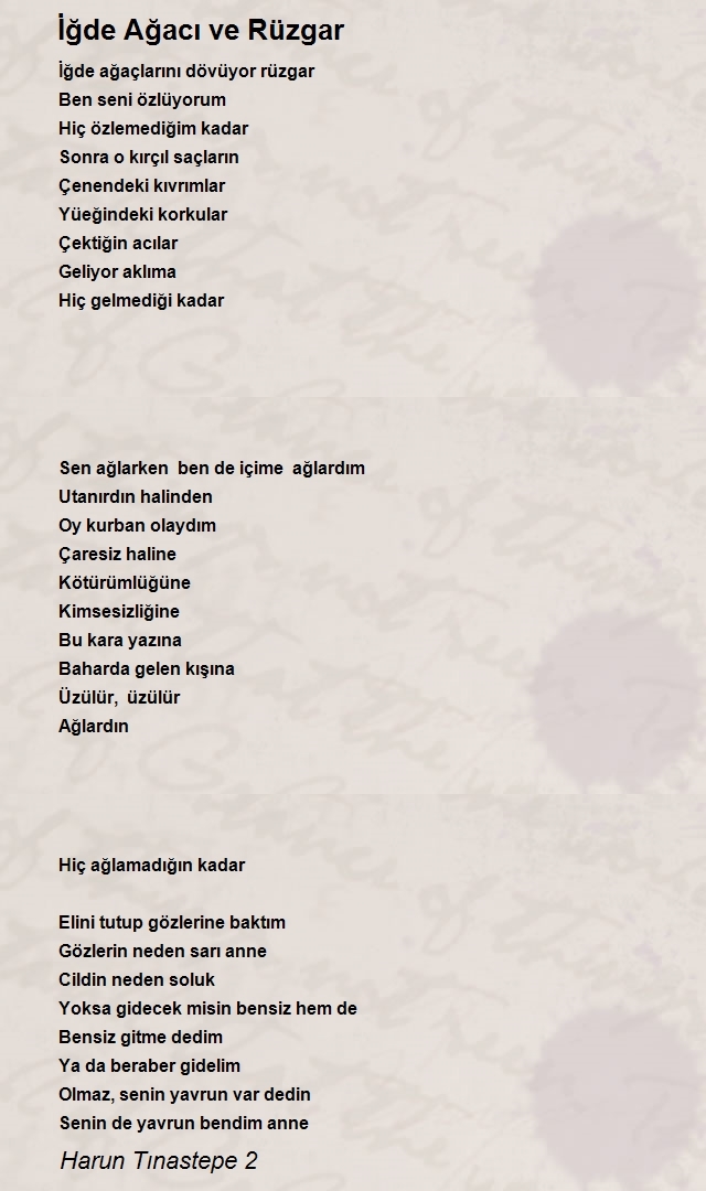 Harun Tınastepe 2