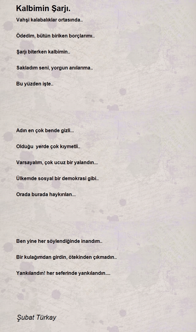 Şubat Türkay