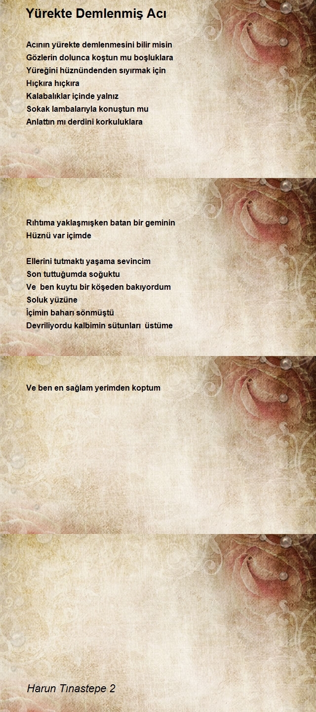 Harun Tınastepe 2