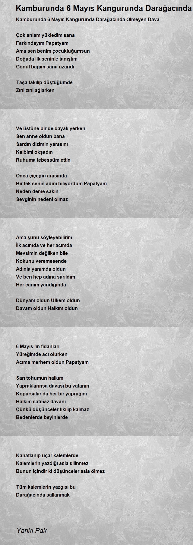 Yankı Pak
