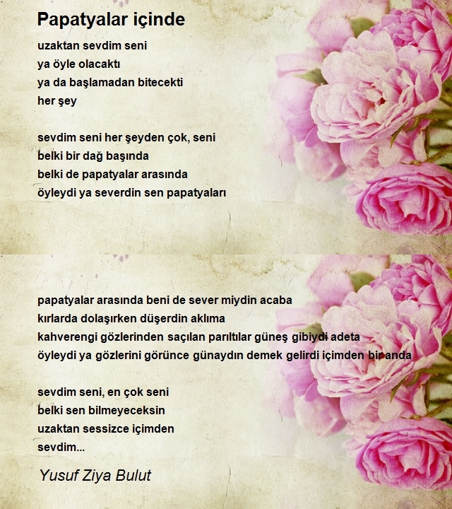 Yusuf Ziya Bulut