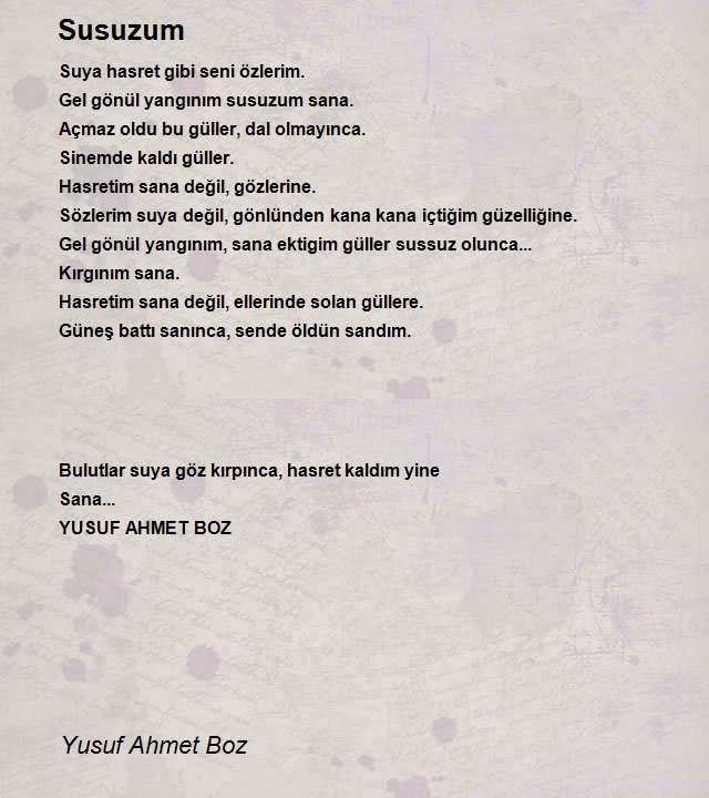 Yusuf Ahmet Boz