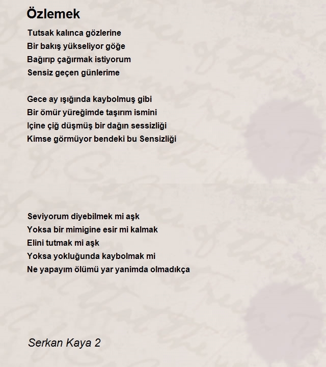 Serkan Kaya 2