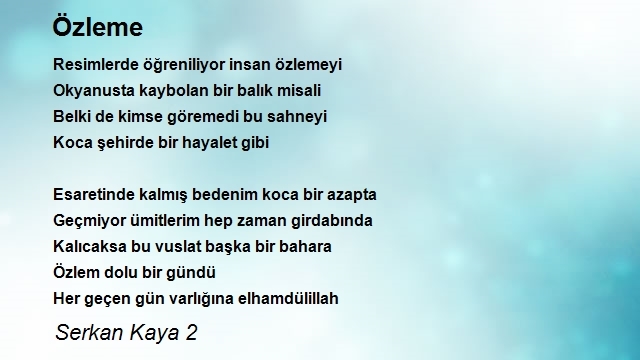 Serkan Kaya 2