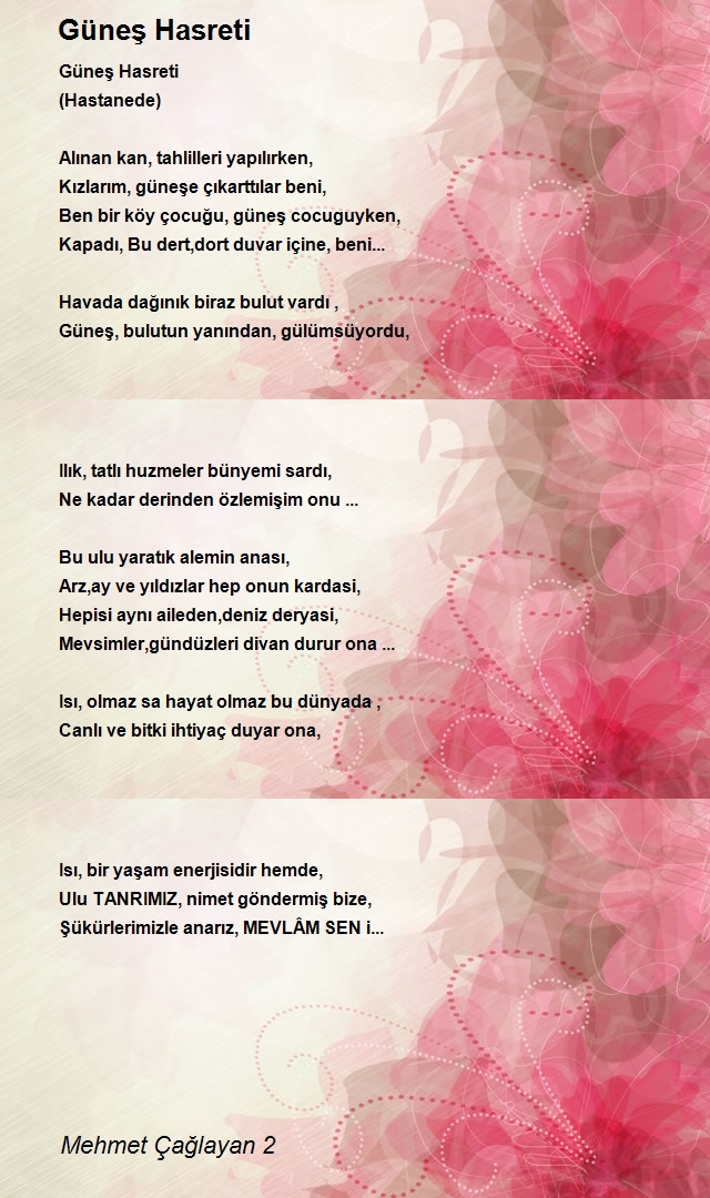 Mehmet Çağlayan 2