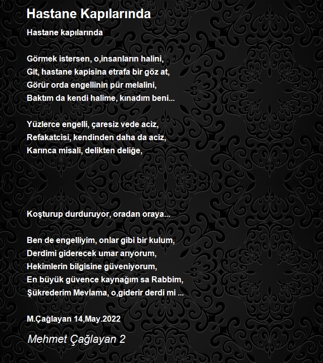 Mehmet Çağlayan 2