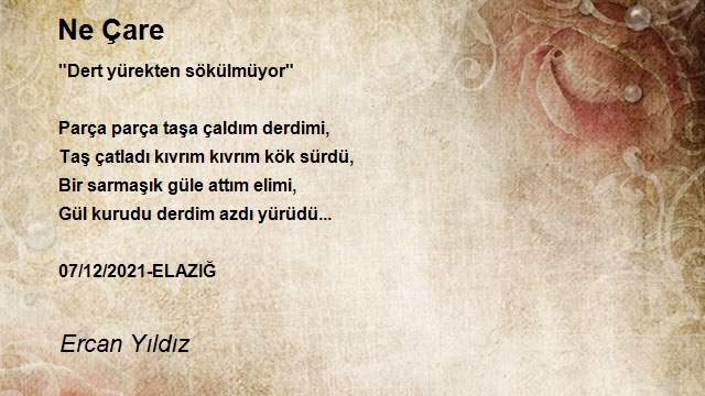 Ercan Yıldız