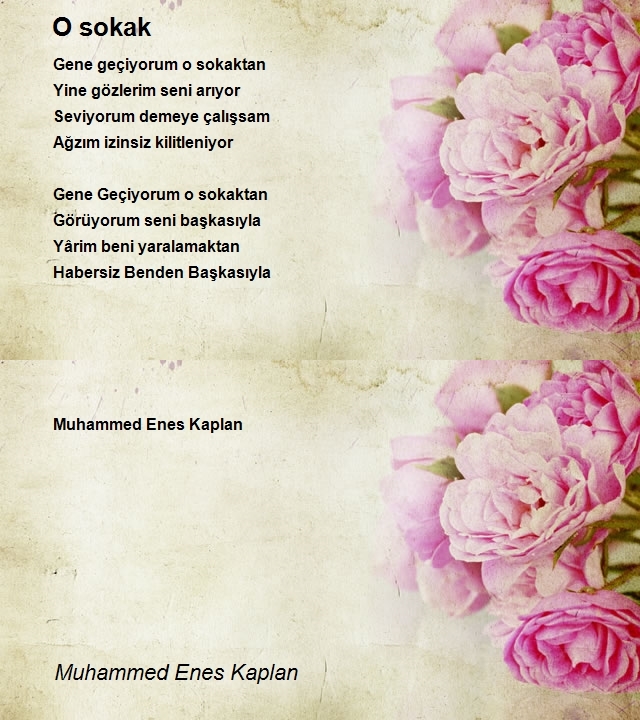 Muhammed Enes Kaplan