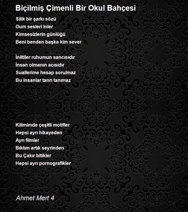 Ahmet Mert 4