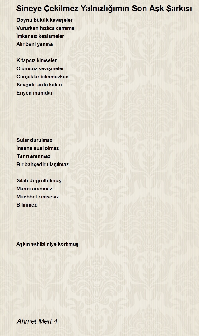 Ahmet Mert 4