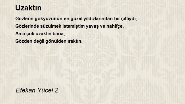 Efekan Yücel 2