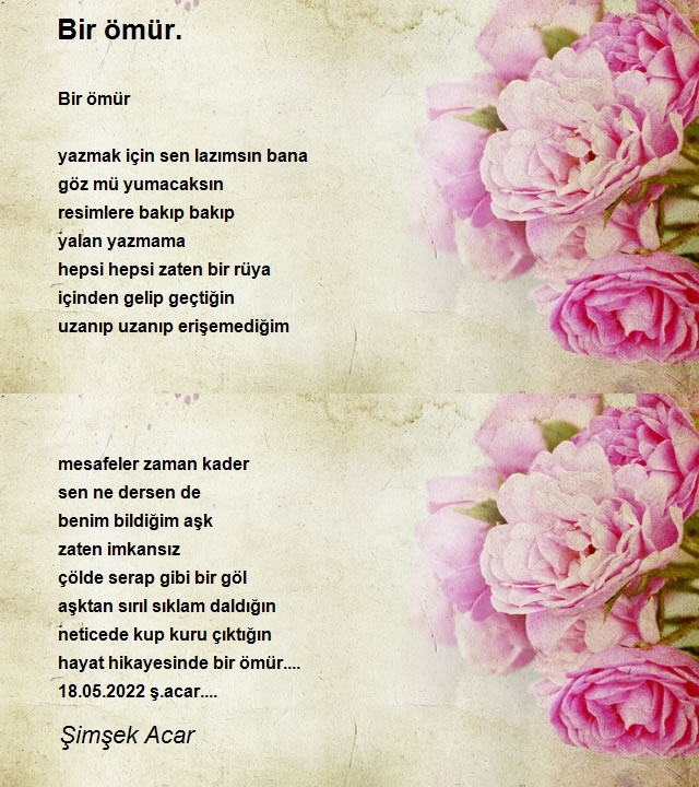 Şimşek Acar