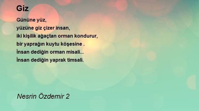 Nesrin Özdemir Saldıran