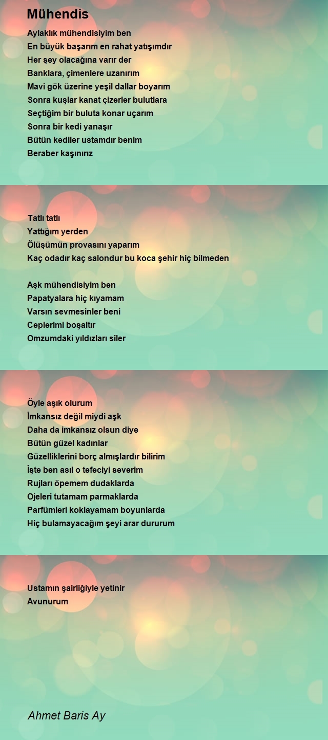 Ahmet Baris Ay