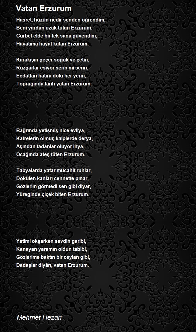 Mehmet Hezari