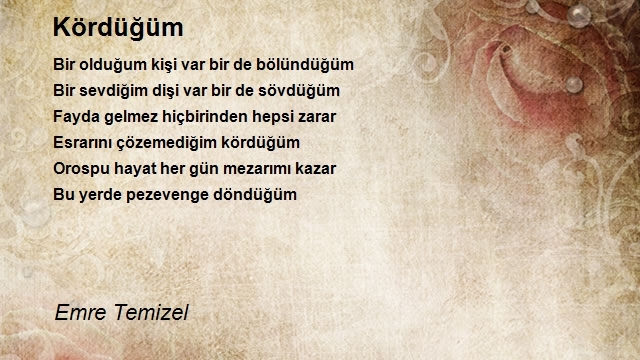 Emre Temizel