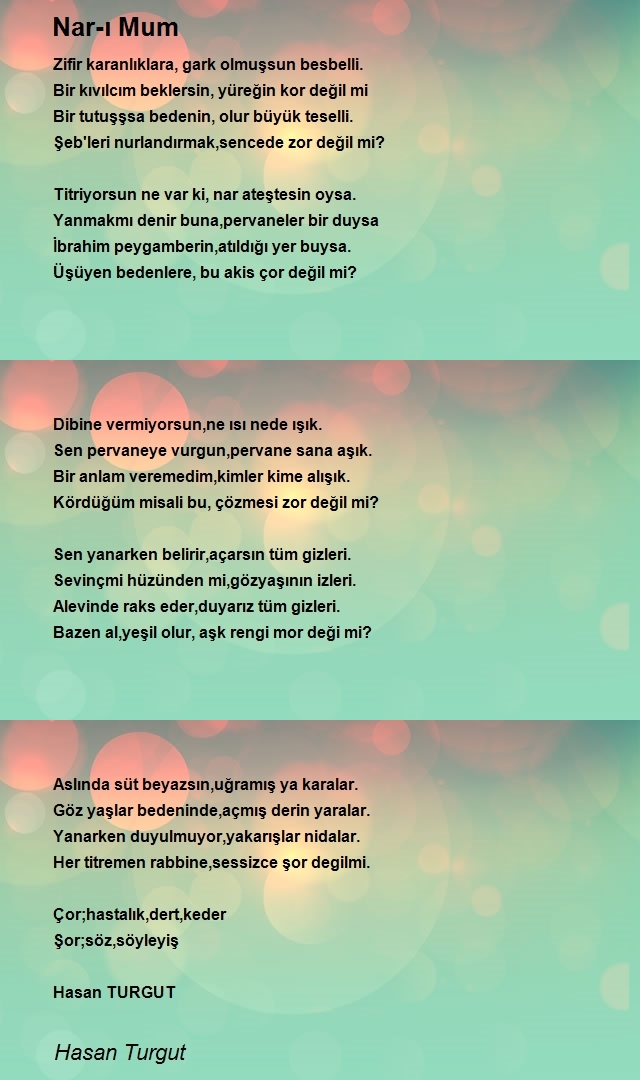 Hasan Turgut