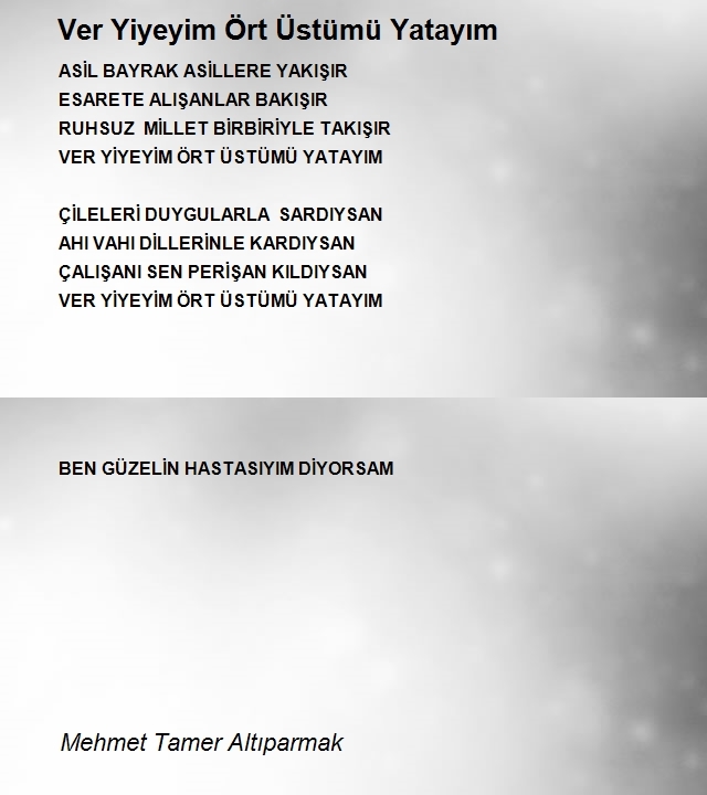 Mehmet Tamer Altıparmak