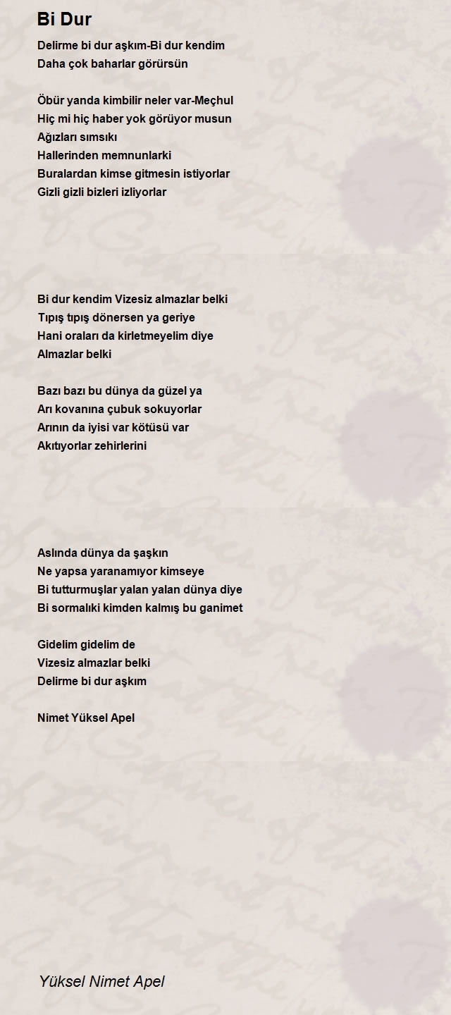 Yüksel Nimet Apel