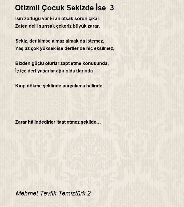 Mehmet Tevfik Temiztürk 2