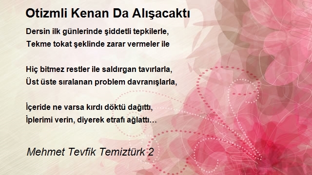 Mehmet Tevfik Temiztürk 2